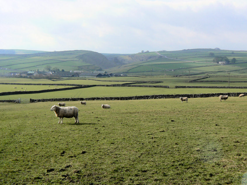 Cressbrook Dale Cressbrook Dale
